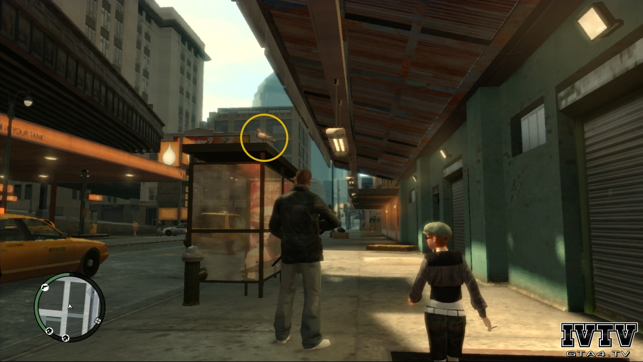 Pigeon 122 1108 Gtaiv Pigeon 122 