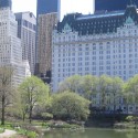 The Plaza Hotel | Views: 2919